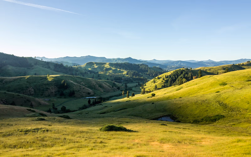 Aaron Cherry — real estate broker, Douglas County Oregon