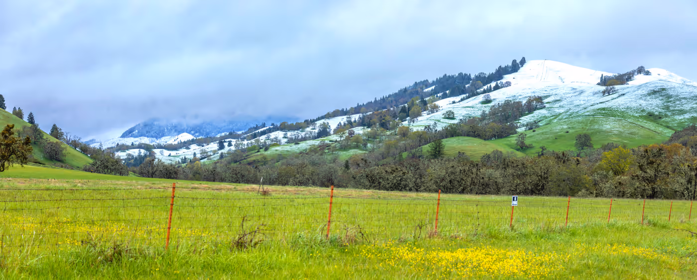 Spring pasture and timbered ridges near Glide, Oregon — Aaron Cherry, REALTOR in Roseburg, Oregon