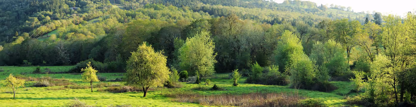 Spring pasture and oak woodland near Oakland, Oregon — Aaron Cherry, REALTOR in Roseburg, Oregon