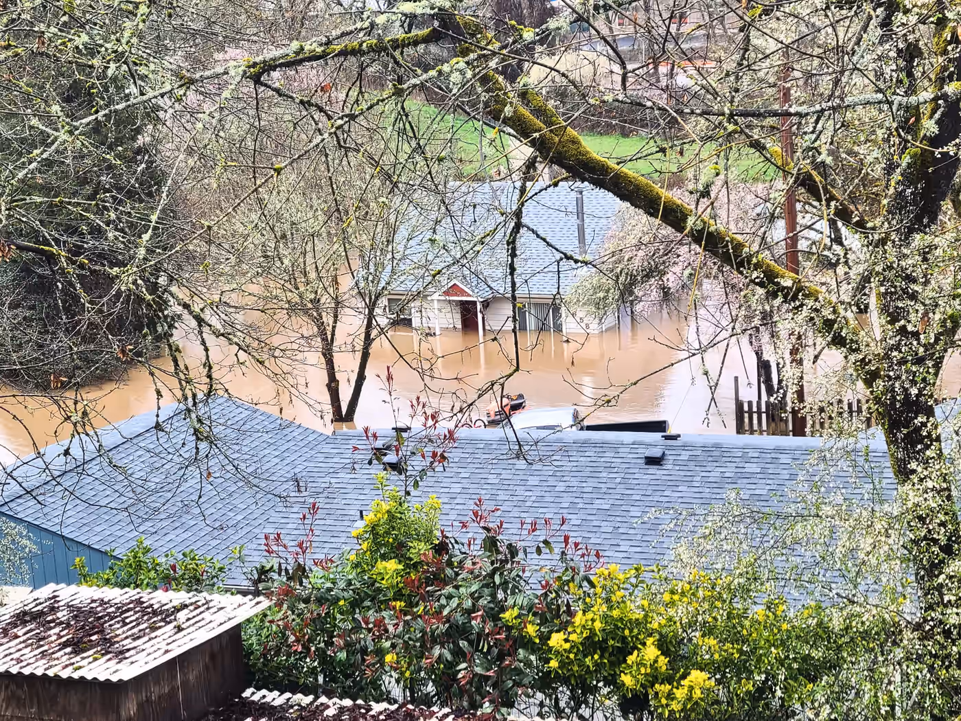 Flood Risk and Your Home: Reading the FEMA Maps in Douglas County, Roseburg and Douglas County, Oregon real estate guide by Aaron Cherry, REALTOR in Roseburg