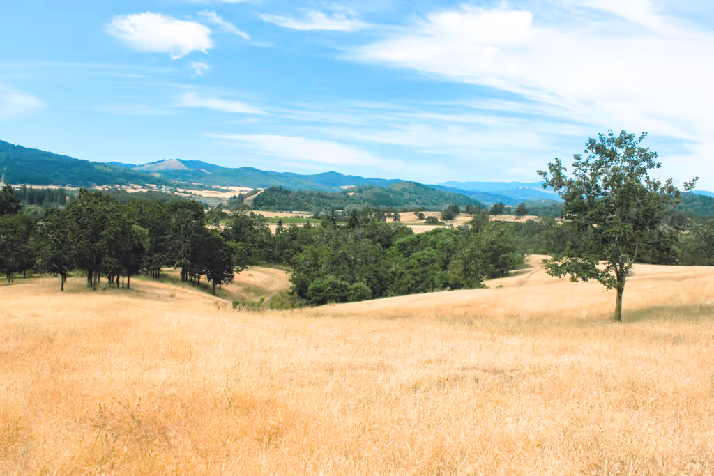 Days on Market in Roseburg: More Time to Decide, Roseburg and Douglas County, Oregon real estate market report by Aaron Cherry, REALTOR in Roseburg