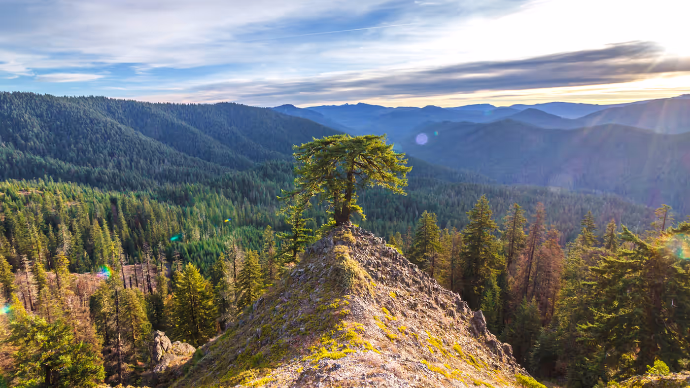 2023 Year in Review: Volume Down, Values Steady in Douglas County, Roseburg and Douglas County, Oregon real estate market report by Aaron Cherry, REALTOR in Roseburg