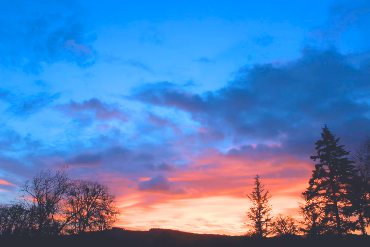 Douglas County Real Estate in 8 Key Metrics: 2025 Year in Review