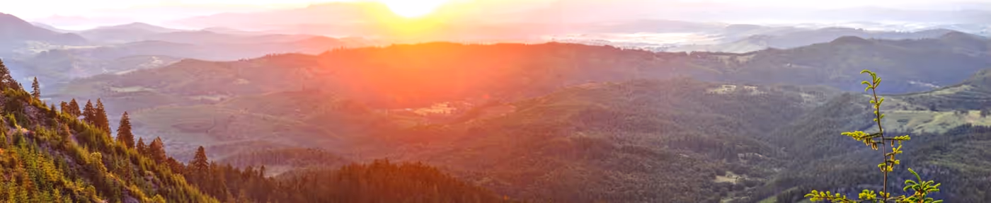 Price Your Roseburg Home Like You Bake Bread, Roseburg and Douglas County, Oregon real estate guide by Aaron Cherry, REALTOR in Roseburg