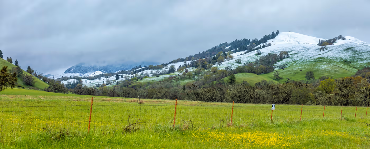 The Roseburg Seller’s Guide: 13 Steps from Listing to Closing, Roseburg and Douglas County, Oregon real estate guide by Aaron Cherry, REALTOR in Roseburg