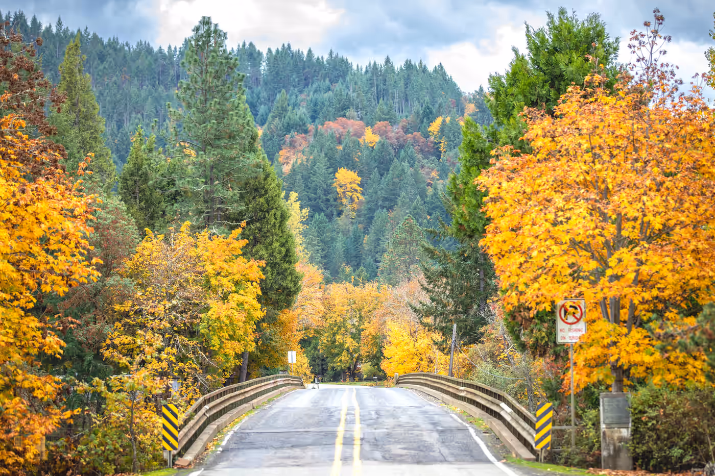 Autumn colour along the North Umpqua near Glide, Oregon — Aaron Cherry, REALTOR in Roseburg, Oregon