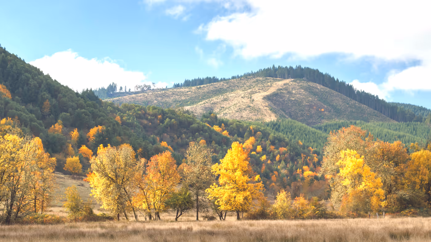 Roseburg's Affordability Index: From 100 to 58, Roseburg and Douglas County, Oregon real estate market report by Aaron Cherry, REALTOR in Roseburg
