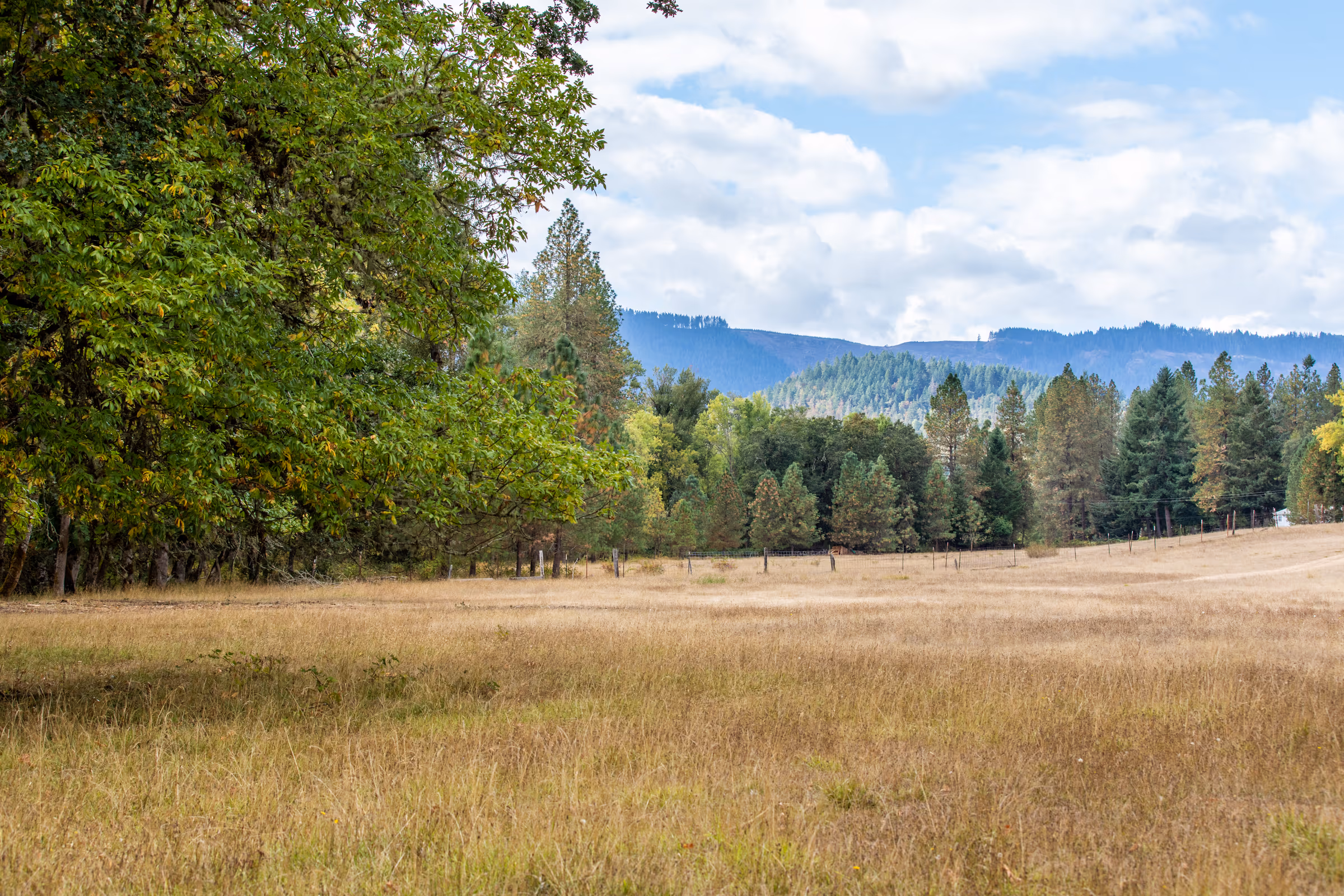 Open meadow and forest land for sale in Douglas County, Southern Oregon