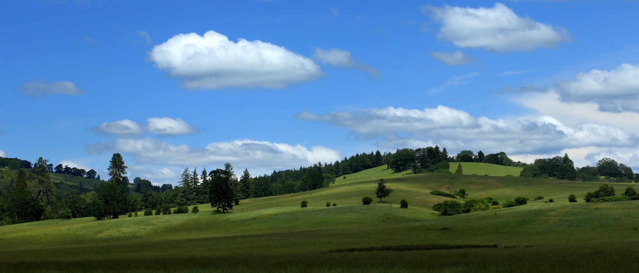 Douglas County rolling green hills and pastoral landscape — Southern Oregon countryside