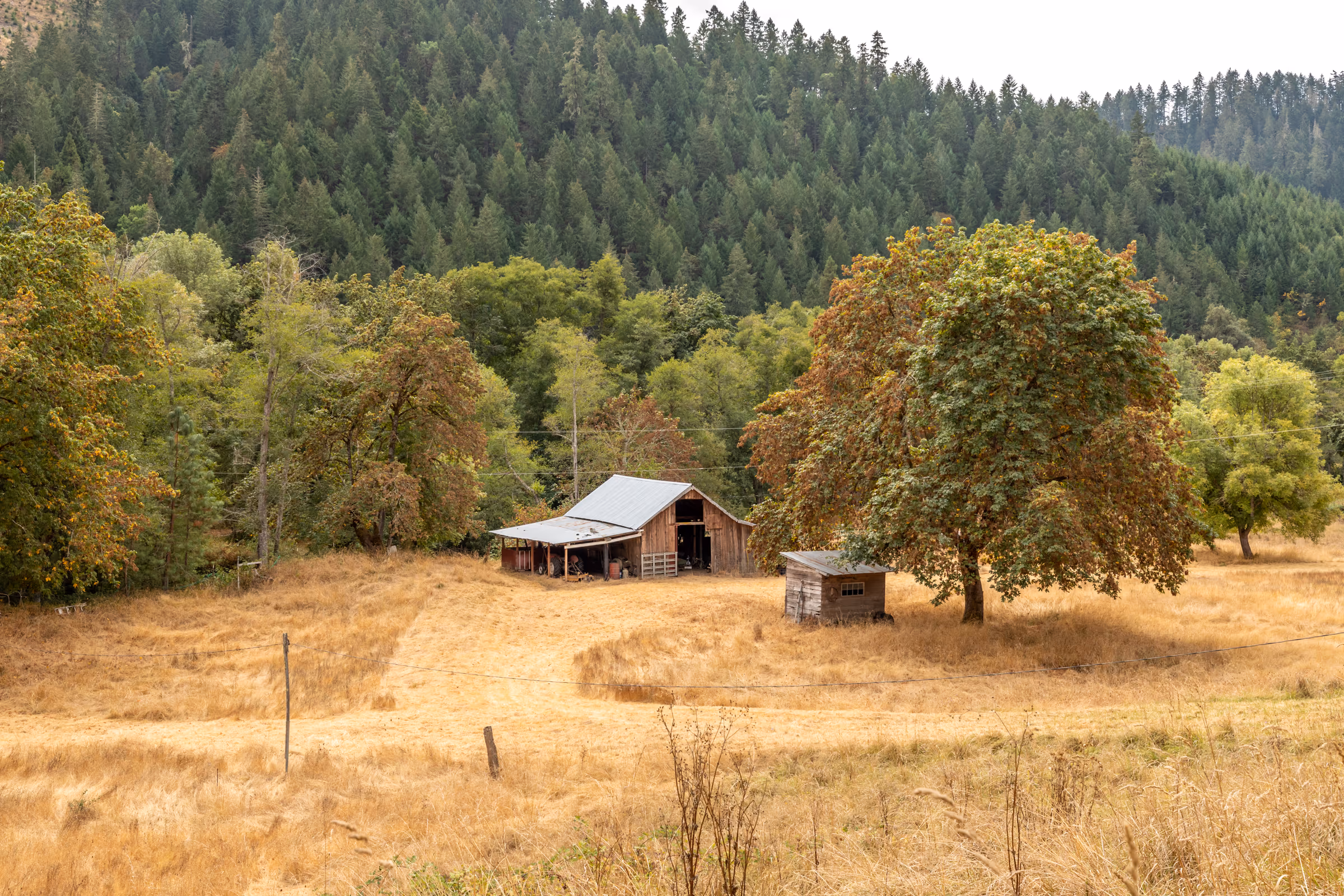 Douglas County rural property with barn and meadow — Southern Oregon timberland