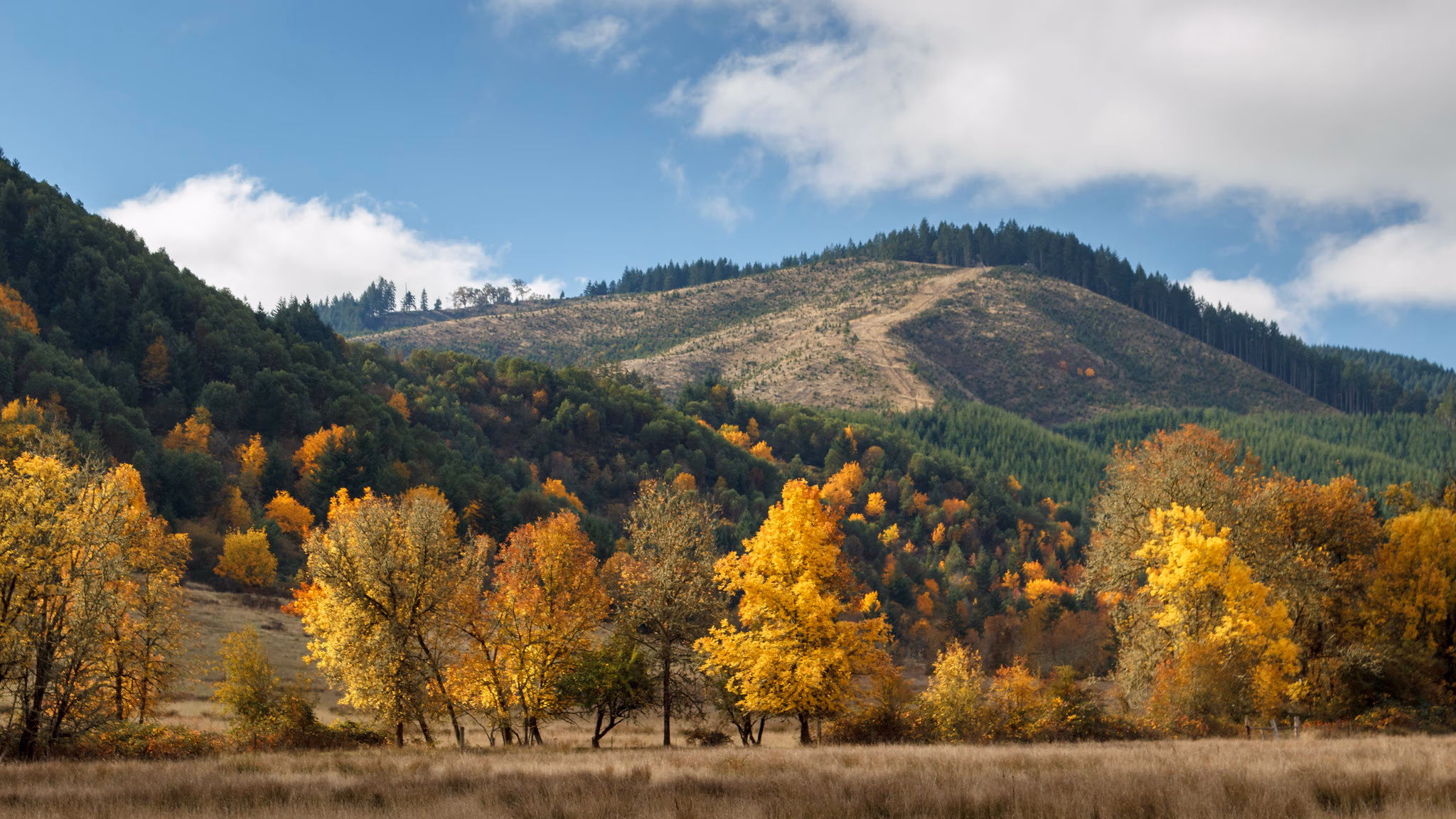 Glide, Oregon — local landscape and real estate — Aaron Cherry